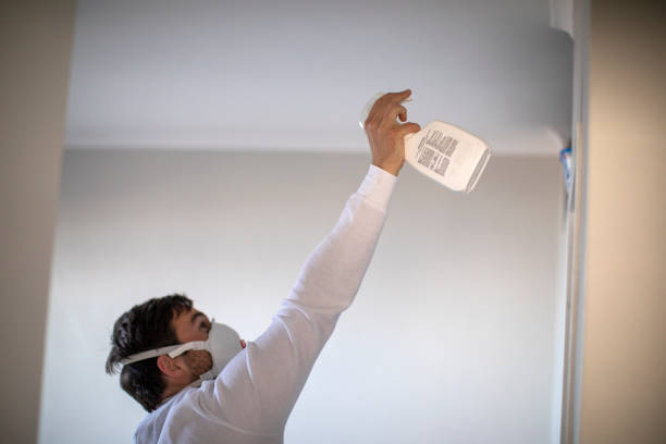 Best Black Mold Remediation in Urbana, IL