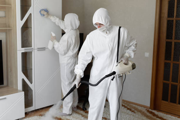 Best Basement Mold Remediation in Urbana, IL