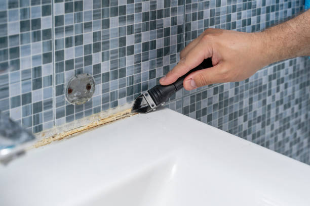 Best Industrial Mold Remediation in Urbana, IL